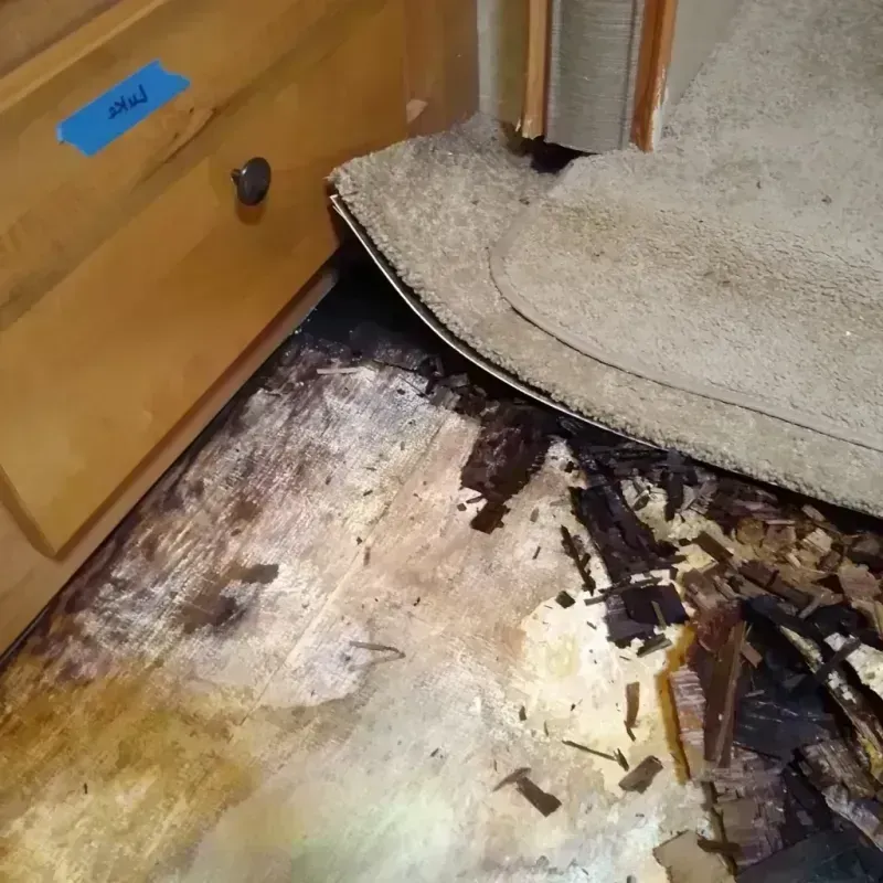 Wood Floor Water Damage in Forest Heights, MD